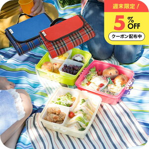 _T5%OFFN[|^ W[V[g  BIGTCY h  ܂肽 t IbNXtH[hn 傫  Ԍ ^ ֗ W[  XgCv ԕ   