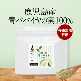 【LINE登録で20％OFFクーポン】青パパイヤ 酵素 粉末 パウダー 60g パパイヤ酵素 スーパーフード 無添加 添加物不使用 エイジングケア 美容 健康 ダイエット ポリフェノール ビタミン 免疫 抗酸化 国産 九州産 鹿児島産 送料無料