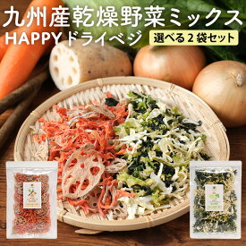 【LINE登録で20％OFFクーポン】乾燥野菜 国産 無添加 乾燥野菜 2袋セット ミックス 長期保存 乾燥野菜 根菜 葉野菜 九州産 葉野菜 100g 根菜 120g 簡単 栄養 キャベツ ほうれん草 玉ねぎ ごぼう 人参 れんこん 保存食 栄養 アウトドア キャンプ 送料無料 レビュー特典 nkdy