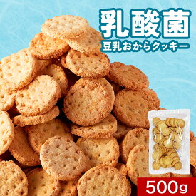 【訳あり 賞味期限 間近】【20％OFFクーポン】おからクッキー 硬い 乳酸菌 100億個入り 500g 豆乳 すごくかたい 硬い クッキー ダイエット お菓子 訳あり ダイエット クッキー 硬いクッキー ダイエットクッキー ダイエットお菓子 おやつ 置き換え 砂糖不使用