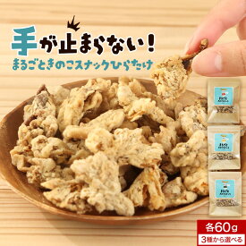 【訳あり 賞味期限 間近】【30％OFFクーポン】ひらたけ チップス きのこ 選べる 3つの味 にんにく 塩こしょう 唐辛子 お菓子 おやつ スナック おつまみ 野菜チップス まるごときのこスナックひらたけ 60g 送料無料