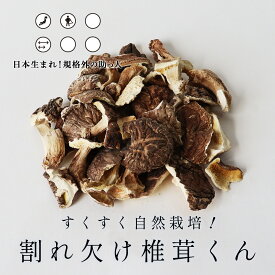 【5%OFFクーポン】干し椎茸 訳あり 日本生まれ！規格外の助っ人 すくすく自然栽培！割れ欠け椎茸くん 110g 干ししいたけ 乾燥しいたけ 乾燥椎茸 送料無料 乾燥野菜 ブドウ糖不使用 国産 ブドウ糖 無添加 食品 干しシイタケ 大分