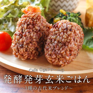y 茺 (160g×5HpbN) pbN  茺  ԕ Ε _ uh e N ^j NtB Ñ Y ֗ W JtF gg L@JAS GABA 