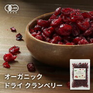 【15%OFFクーポン】【よりどり2点で20％OFF対象】オーガニック クランベリー 200g 有機 オーガニック ド…