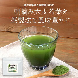【20%OFFクーポン】【訳あり 賞味期限 間近】大麦若葉 健康 青汁 国産 100g 鹿児島県産 農薬不使用 料理 朝摘み パウダー 粉末 健康 野菜 栄養 食物繊維 牛乳 スムージー 置き換え ドリンク スープ レシピ 美容 送料無料