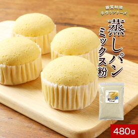 【訳あり 賞味期限 間近】【700円OFFクーポン】蒸しパン ミックス粉 (480g) 低糖質 パン 糖質制限 低糖 おやつ 手づくり 手作り お菓子 簡単 もちもち蒸しパン 手作り蒸しパン 国産 大豆粉 おからパウダー 米粉 ダイエット 小麦粉不使用 子ども