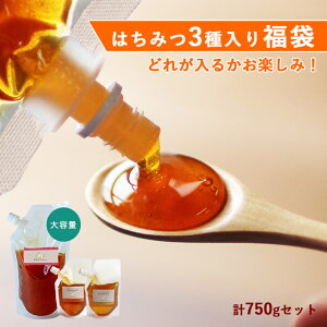  2025 Hi id 750gj S ݂͂ 500g  X܂ 2i125g×2j Zbg n`~c I  Hi HiX N O i`}[g X^hpbN pE`  v[