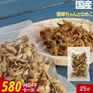 y580~OFFZ[ / 1000~ۂẑ  Y ȒP Ȃ߂ 25g uhEsgp ݂`̋ Y {錧Y ۑ X`̋ LmR  ݂  ~ 