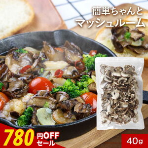 y780~OFFZ[ / 1000~ۂz Y ȒP }bV[ 40g uhEsgp ̂ LmR ۑ ۑH X`̋ ݂`̋   hC