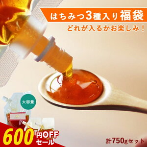 y600~OFFZ[z 2026 Hi id 750gj S ݂͂ 500g  X܂ 2i125g×2j Zbg n`~c I  Hi HiX N O i`}[g X^hpbN pE