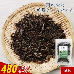 y480~OFFZ[ / 1000~ۂz炰  Y cށIꌇ炰 50g tt@[ LNQ ώ ؎ 炰 m ̂ 󂠂 Hi  