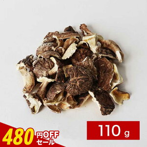 y480~OFFZ[ / 1000~ۂző 󂠂 {܂IKiȌl R͔|Iꌇő 110g   ő   uhE