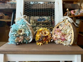 ブッタナッツ フラワー