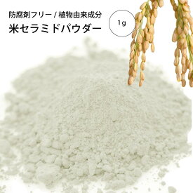米セラミドパウダー(1g)[化粧品原料]