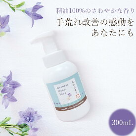 【天然成分100%】FK ハンドソープ 300mL ボトル 福知山キキョウ | 保育園 子供用 本体 敏感肌 石けん 弱アルカリ 肌に優しい 泡タイプ 無添加手に優しい ばい菌 液体 さっぱり 除菌 天然 福知山 桔梗 手洗い 石鹸 精油 成分 送料無料 福知山高校 三和分校