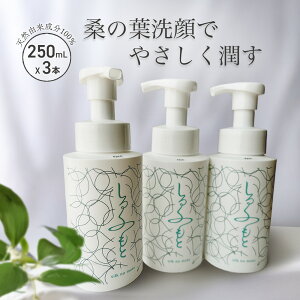 邭̂ tH[ 250ml 3Zbg| AJ F hܖY q VRR Y A A  Ό Ό  q IC[ Ags[ Ags[畆