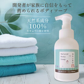 【天然成分100%】FK ボディソープ 300mL ボトル 福知山キキョウ | 敏感肌 女性用 子供用 本体 石けん 弱アルカリ 肌に優しい 泡タイプ 無添加 肌に優しい せっけん 液体 さっぱり 除菌 天然 福知山 桔梗 身体洗浄 石鹸 精油 成分 送料無料 福知山高校 三和分校