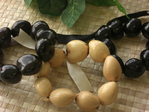 sNNCEuXt@ԏi@y3J[FubN/uE/zCgz@inCAjyYDKG-tdz