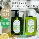 【公式】凜恋 シャンプー ＆ トリートメント セット ミント ＆ レモン リンレン 薬用シャンプー ノンシリコン 無添加 低刺激 乾燥 日本製 天然 オーガニック 頭皮 rinRen