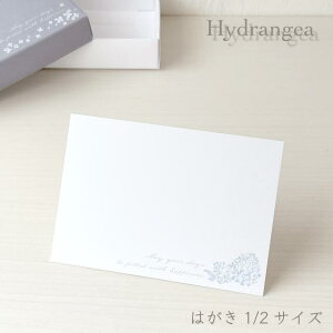 AWTC ANZT[䎆L ͂1/2TCY 30