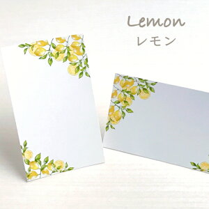  ANZT[䎆 M 55×91mm hTCY 40