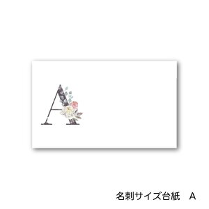 A At@xbg ANZT[䎆 55×91mm hTCY 40