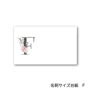 F At@xbg ANZT[䎆 55×91mm hTCY 40