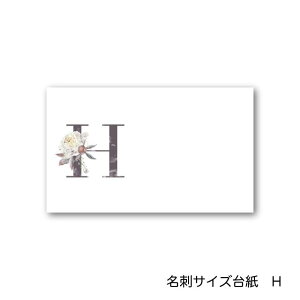 H At@xbg ANZT[䎆 55×91mm hTCY 40