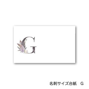 G At@xbg ANZT[䎆 55×91mm hTCY 40
