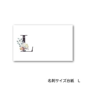 L At@xbg ANZT[䎆 55×91mm hTCY 40