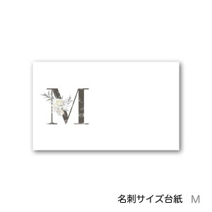 M At@xbg ANZT[䎆 55×91mm hTCY 40