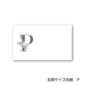 P At@xbg ANZT[䎆 55×91mm hTCY 40