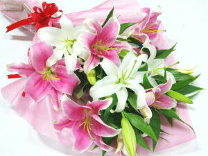؂₩ŐlC ~bNX5{̉ԑ ԑ a  1 ԑv[g l  ؂j Ε  t[   c  v[g ސEj Əj ij җj