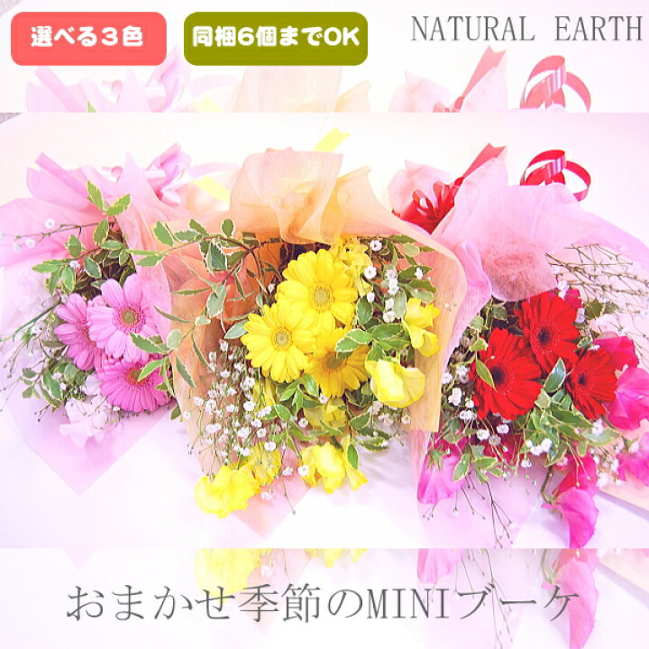 楽天市場 おまかせ花束 ミニブーケ 誕生日 花 フラワー 花束 結婚記念日 お礼 記念日 卒業 卒園 入学 発表会 母の日 父の日 敬老の日 ギフト ガーベラ カーネーション かすみ草 など Natural Earth