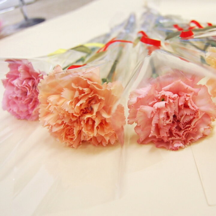 楽天市場 お花が選べる イベント1本ブーケ 卒業式 謝恩会 卒園式 発表会 結婚式 退職 お別れ会 デンファレ カーネーション チューリップ スイートピー など卒業式 謝恩会 卒園式 発表会 Natural Earth