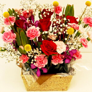 w  N11 G߂̂Ԃ͂܂ G ԑ    c  m a Q ܂ v[g  yz