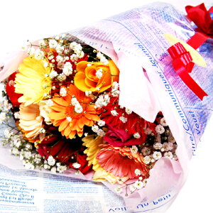 oƃK[x̉ԑa@@yyMt_bŹzyNxێ܁zyyMt_ bZ[WJ[hzyRCPz