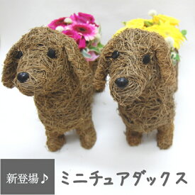 楽天市場 コーギー 花 ガーデン Diy の通販 楽天市場 コーギー 花 ガーデン Diy の通販