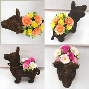 犬 ペット 花 ワンコ 柴犬 コーギー フラワー 誕生日 お祝い フラワーアレンジメント バラ ガーベラ お礼 お供え お悔やみ お墓参り 花 母の日 父の日 敬老の日 結婚記念日 【送料無料】