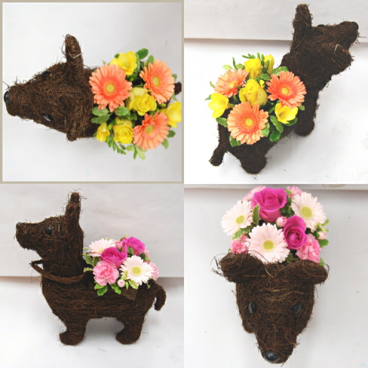 楽天市場 花 送料無料 犬 ペット ワンコ ミニチュアダックス 柴犬 コーギー フラワー 誕生日 お祝い バラ ガーベラ お礼 お供え 母の日 父の日 敬老の日 結婚記念日 Natural Earth