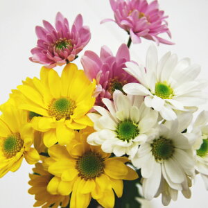 y؉ԁzyIׂ镟ܑΏۏizXv[}1{    Q   ybZ[WJ[hzyyMt_bŹzyNxێ܁zyyMt_ bZ[WJ[hzyRCPz02P01