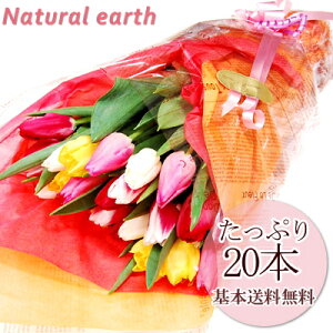 `[bv l  ԑ Jt   a ԑv[g av[g   c Mtg  v[g ސEj Əj ij j җj j  