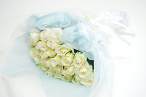 o30{̉ԑ  j Hފ  ԑ Q  FIׂ a LO LO \ ސEj j җ P  Ď Ȃ