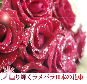 PL烉 o10{̉ԑ ԑ a Ǝ  C TvCY ỏԑ bZ[WJ[h yMt_bZ Nxێ yMt_ bZ[WJ[h 