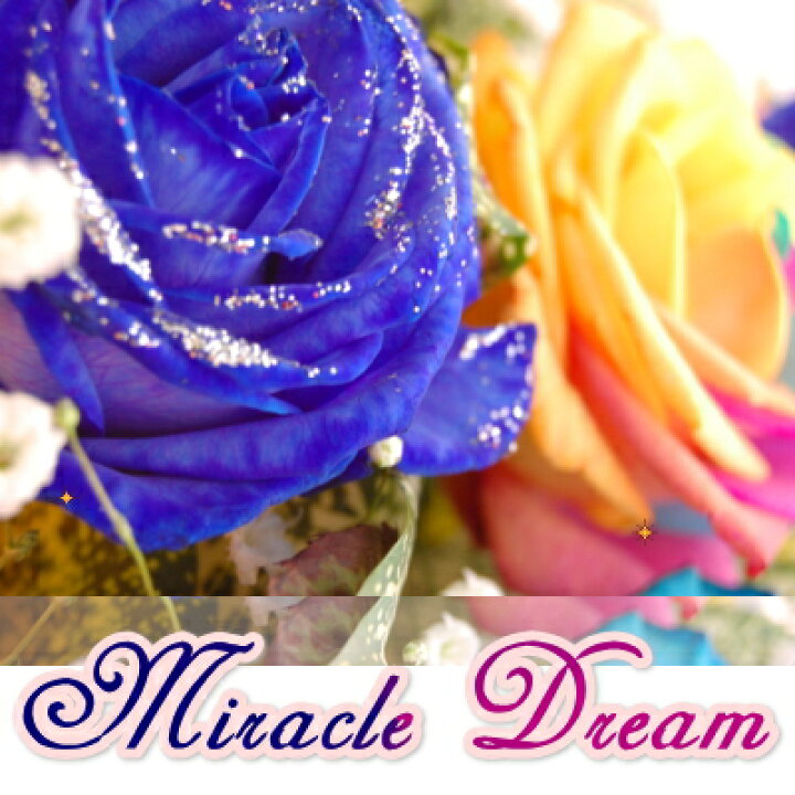 楽天市場 送料無料 ミラクルドリーム Miracle Dream 誕生日 花 レインボーローズ ブルーローズ 結婚記念日 珍しいバラ アレンジ バラ 開店祝い 退職祝い 御礼 Natural Earth