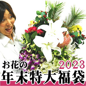 yʌz@܁@ԁ@N@ԁ@@痼@@t[@@ɑԂ𔠂ς̕