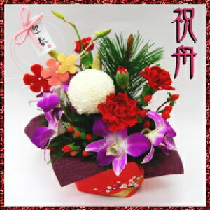 @ԁ@AW@M@@s|}@ft@@j@@NA@Vt@}t@@֏@ʌ@Ԍ