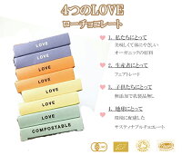 チョコレートミント38g乳製品不使用フェアトレードサステナブル品カカオ72%以上低GI低糖質アレルギー子供イギリスビーガンダイエットチョコ携帯食ココナッツシュガー【賞味期限:2019年12月17日】6個までメール便可能(250円)