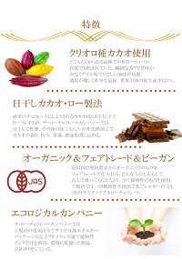 チョコレートミント38g乳製品不使用フェアトレードサステナブル品カカオ72%以上低GI低糖質アレルギー子供イギリスビーガンダイエットチョコ携帯食ココナッツシュガー【賞味期限:2019年12月17日】6個までメール便可能(250円)