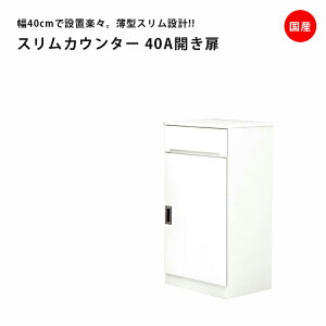 _Si|Cg10{ubNtCf[JÁ^ XJE^[ Lb`[ X Lb`{[h 40cm [ HI Y { J^Cv 40cm ot _CjO{[h 